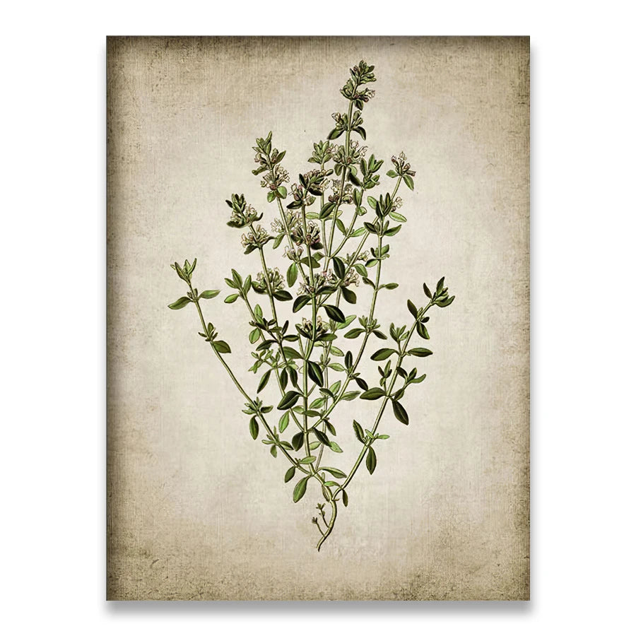 Affiche fleurs vintage