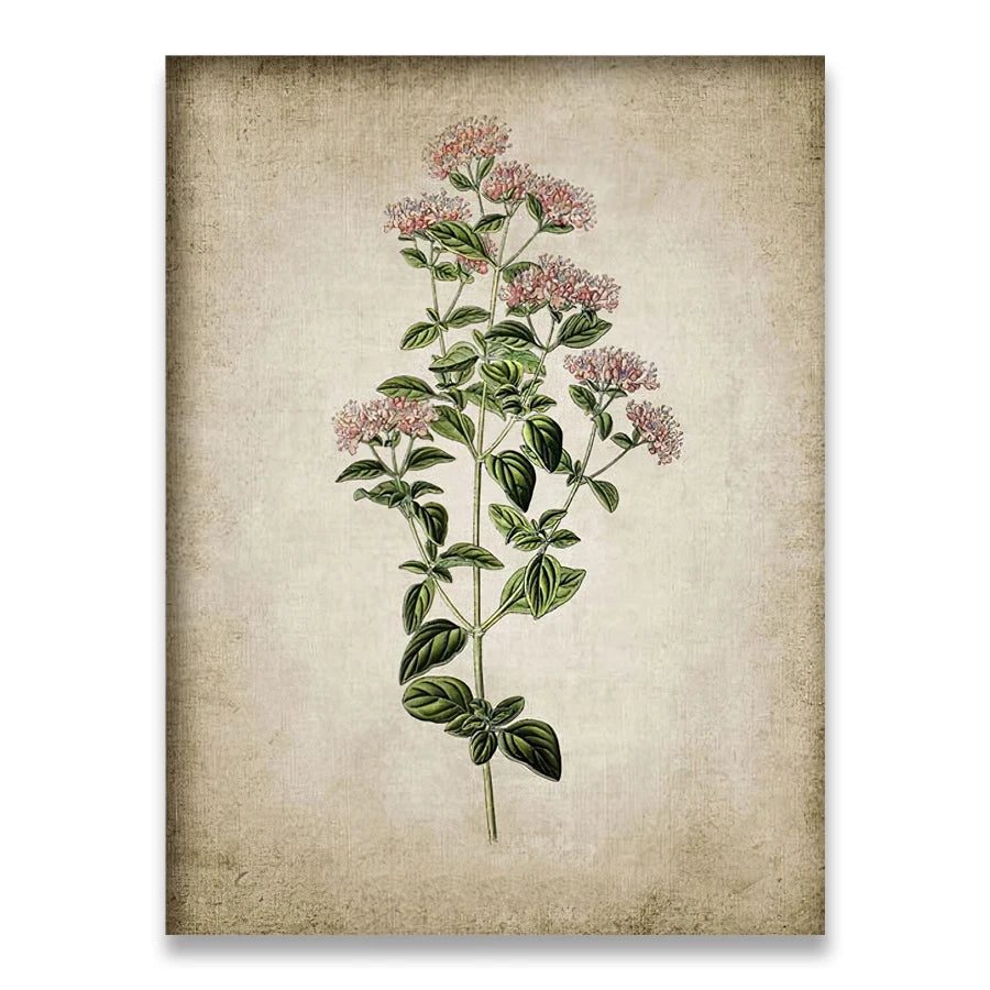 Affiche fleurs vintage