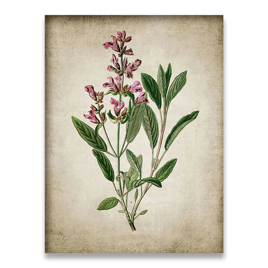 Affiche fleurs vintage